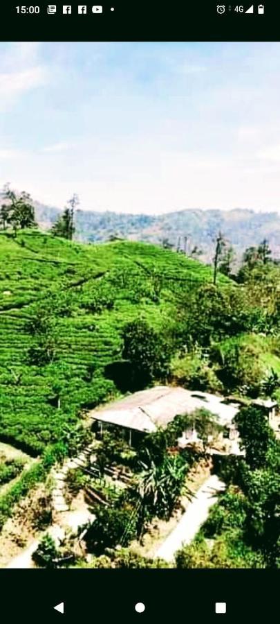 Tunnel Gap Homestay เอลลา ภายนอก รูปภาพ
