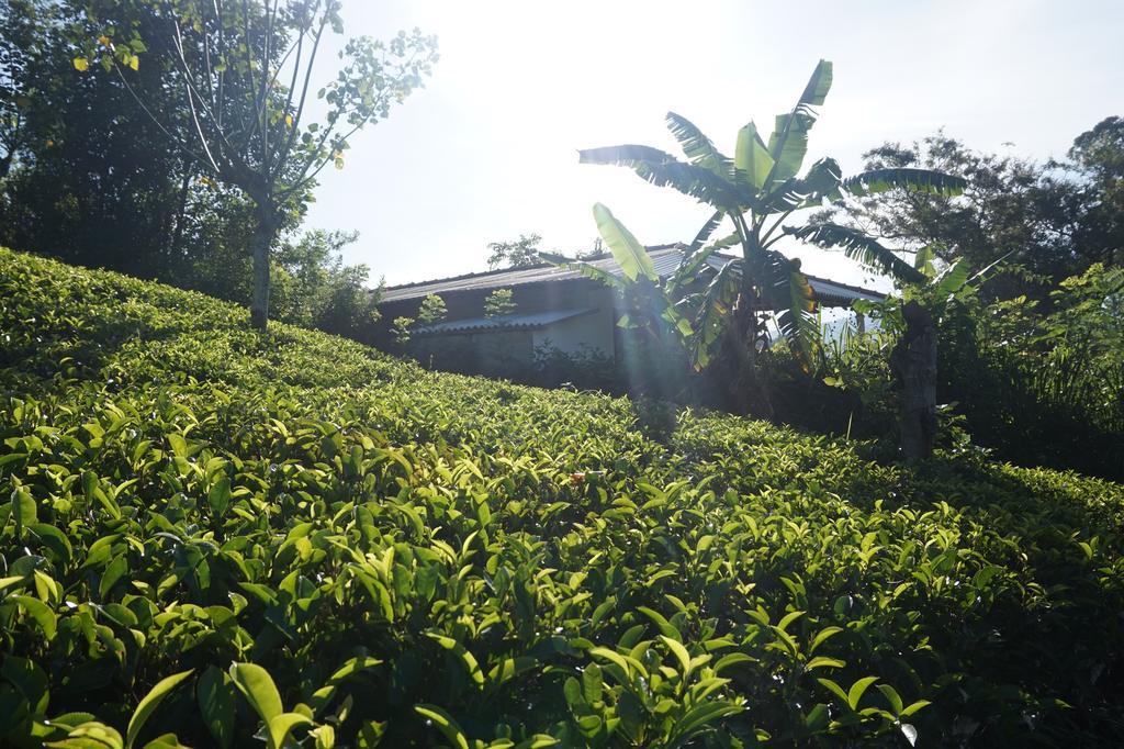 Tunnel Gap Homestay เอลลา ภายนอก รูปภาพ