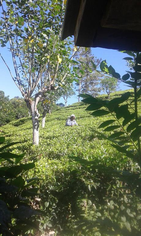 Tunnel Gap Homestay เอลลา ภายนอก รูปภาพ