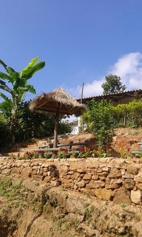 Tunnel Gap Homestay เอลลา ภายนอก รูปภาพ