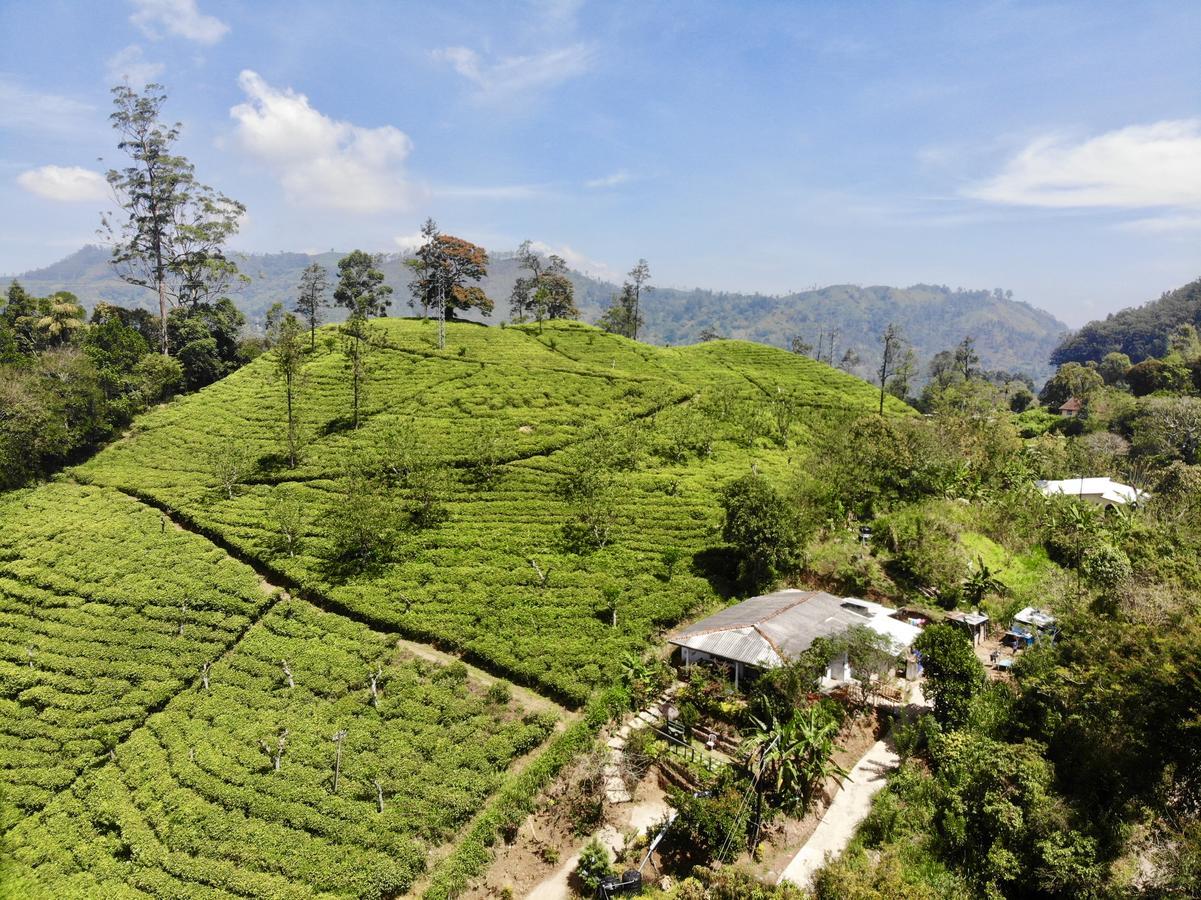 Tunnel Gap Homestay เอลลา ภายนอก รูปภาพ
